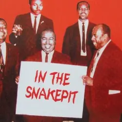 In the Snakepit