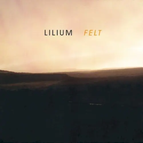 Felt