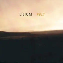 Felt