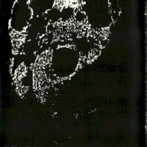 Exhumed