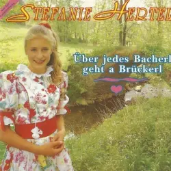 Über jedes Bacherl geht a Brückerl