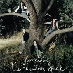 The Freedom Spark