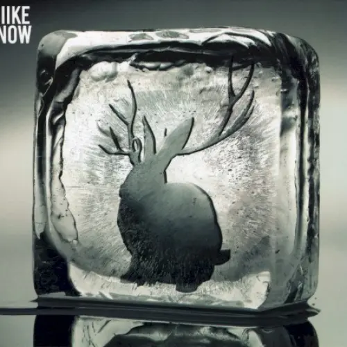 Miike Snow