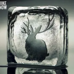 Miike Snow