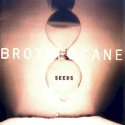 Seeds
