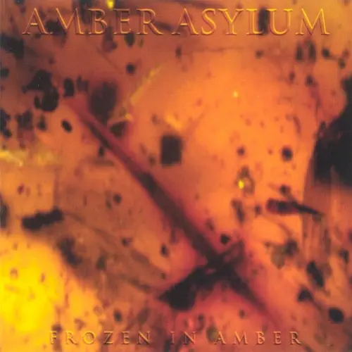 Frozen in Amber