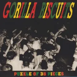 Puzzle of 38 Pieces (Rare Bootleg Tracks)