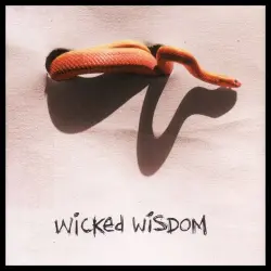 Wicked Wisdom