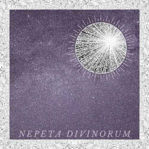Nepeta Divinorum