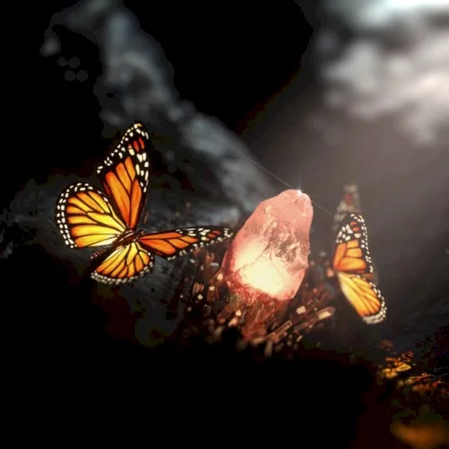 Chrysalis