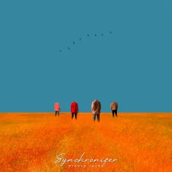 Synchronizer