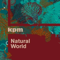 Natural World Natural World