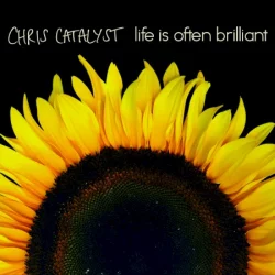 Life Is Often Brilliant