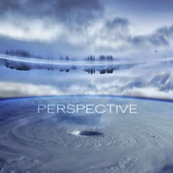 Perspective