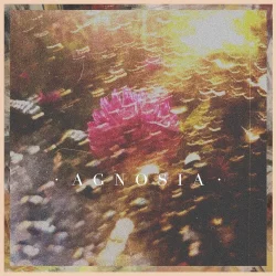 Agnosia