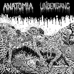 Anatomia / Undergang