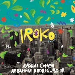 Iroko