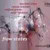 Flow States