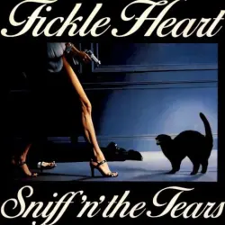 Fickle Heart