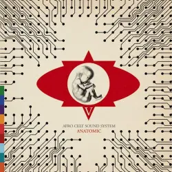 Volume 5: Anatomic