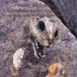 Shipwreck Radio, Volume One: Seven Sonic Structures From Utvær