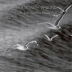 Gulls Just Wanna Have Fun