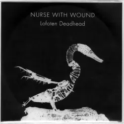 Lofoten Deadhead
