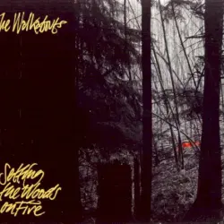 Setting the Woods on Fire