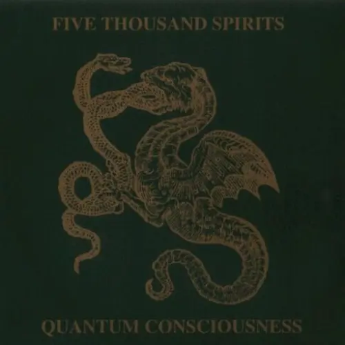 Quantum Consciousness