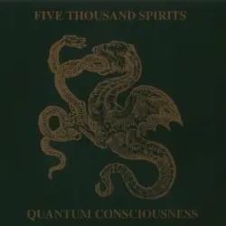 Quantum Consciousness