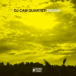Diggin'