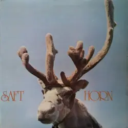Horn