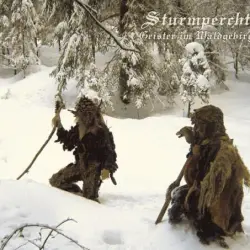 Geister im Waldgebirg Geister im Waldgebirg