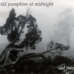 Sad Trees
