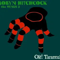 Olé! Tarantula