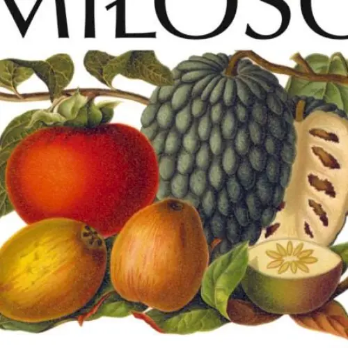 Milosc