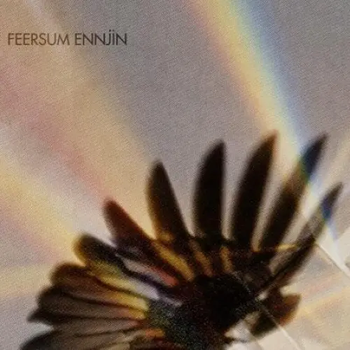 Feersum Ennjin