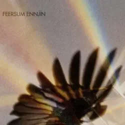 Feersum Ennjin