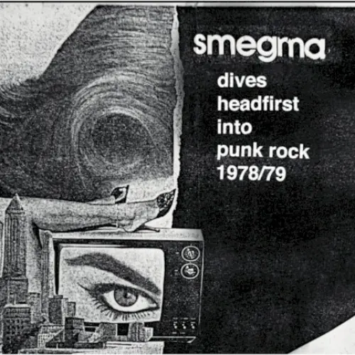 1978 …Dives Headfirst Into Punk Rock