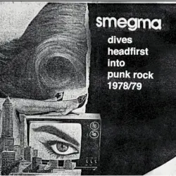 1978 …Dives Headfirst Into Punk Rock