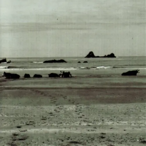 Alvarius B.