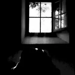 Notes From an Open Window 2