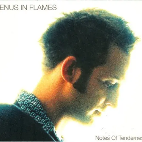 Notes of Tenderness