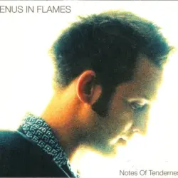 Notes of Tenderness