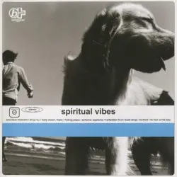spiritual vibes