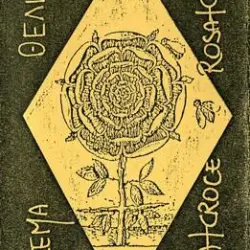 Rosa + Croce