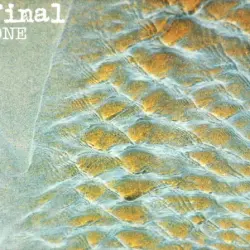 One