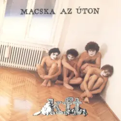 Macska az úton Macska az úton