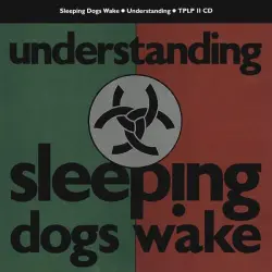 Understanding
