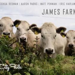 City Folk